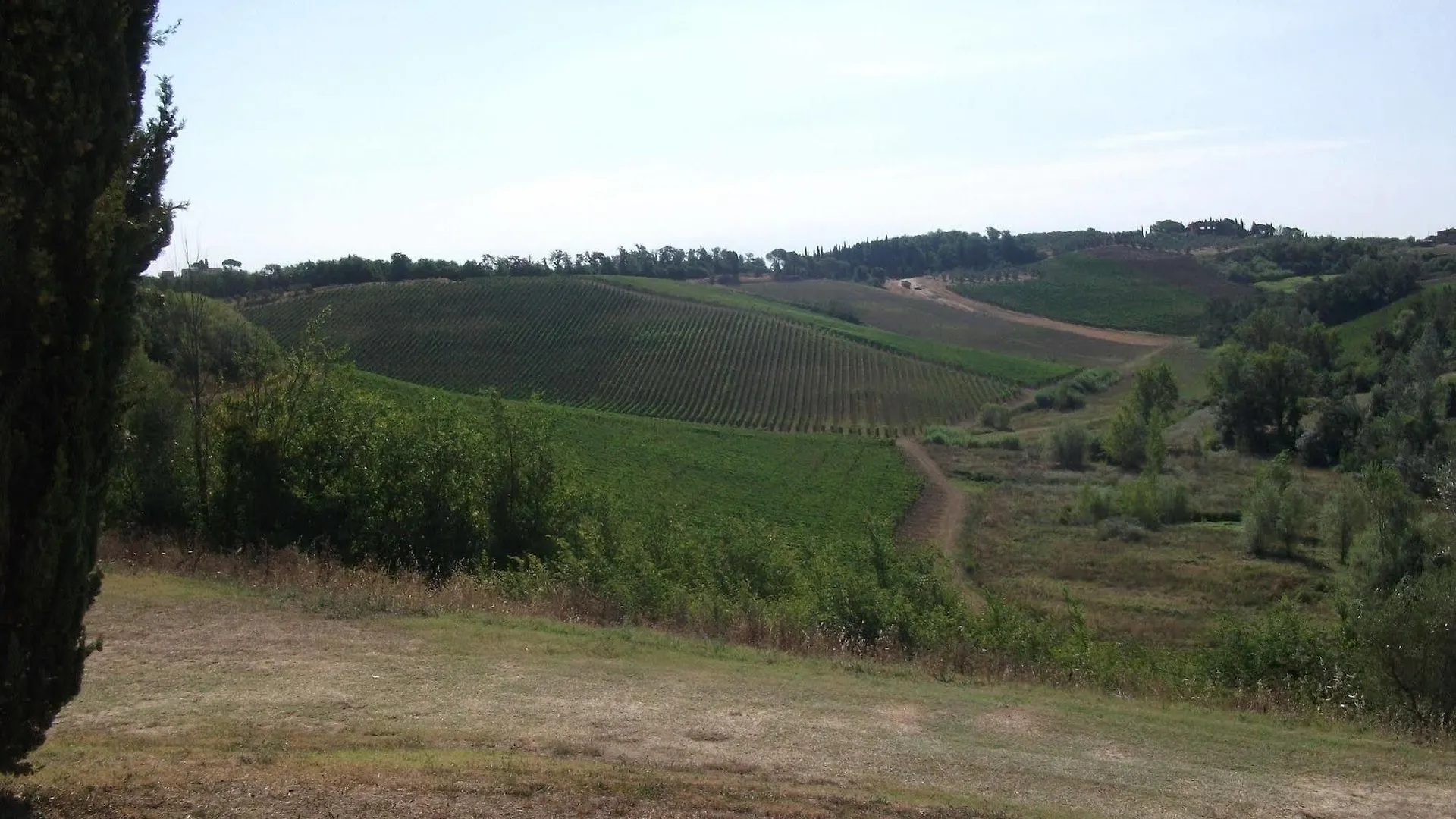 Gospodarstwo agroturystyczne Agriturismo Musignano Cerreto Guidi Włochy